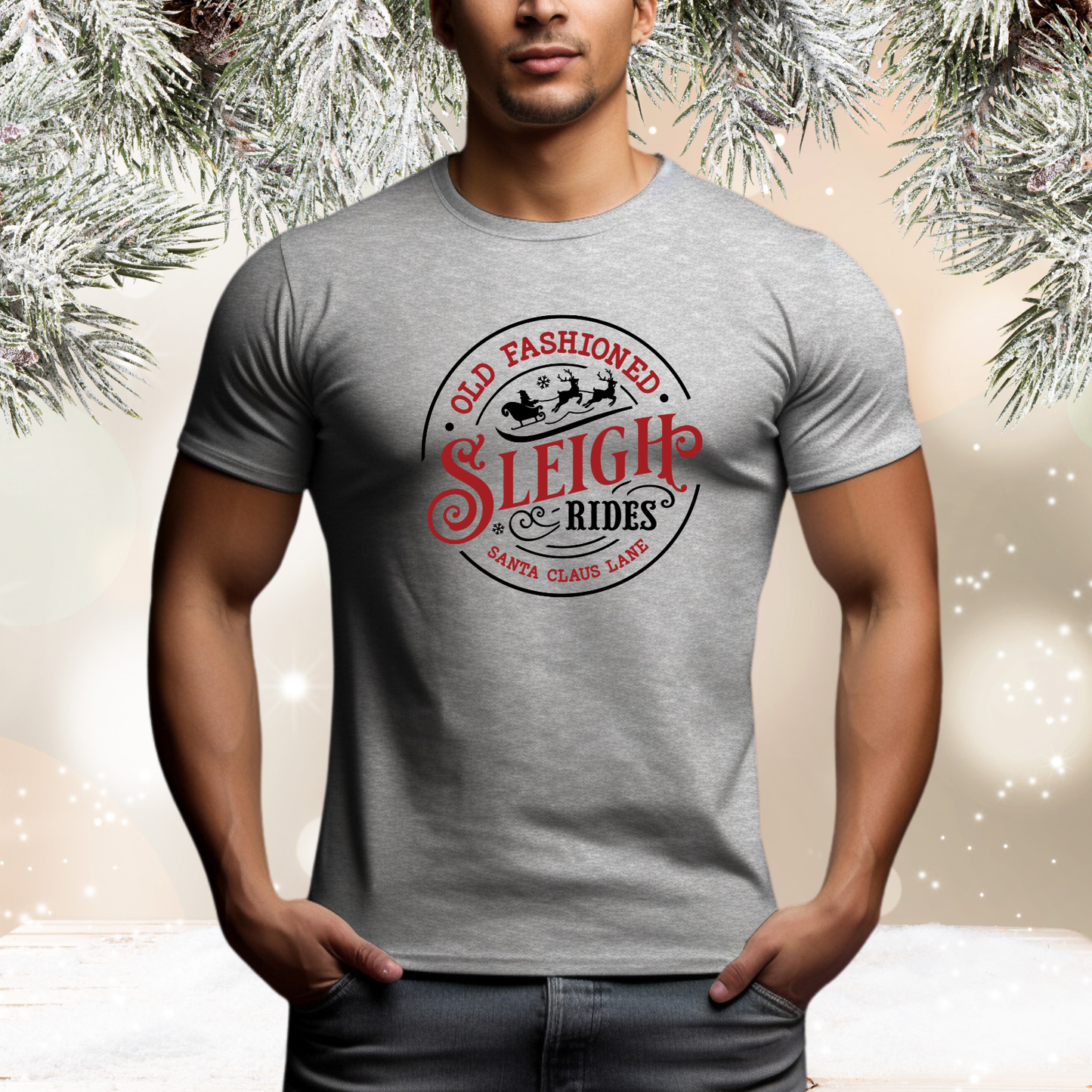 Old Fashioned Sleigh Rides T‑Shirt