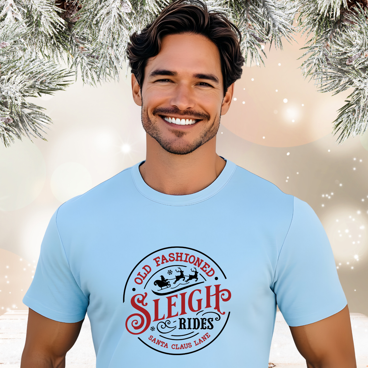 Old Fashioned Sleigh Rides T‑Shirt