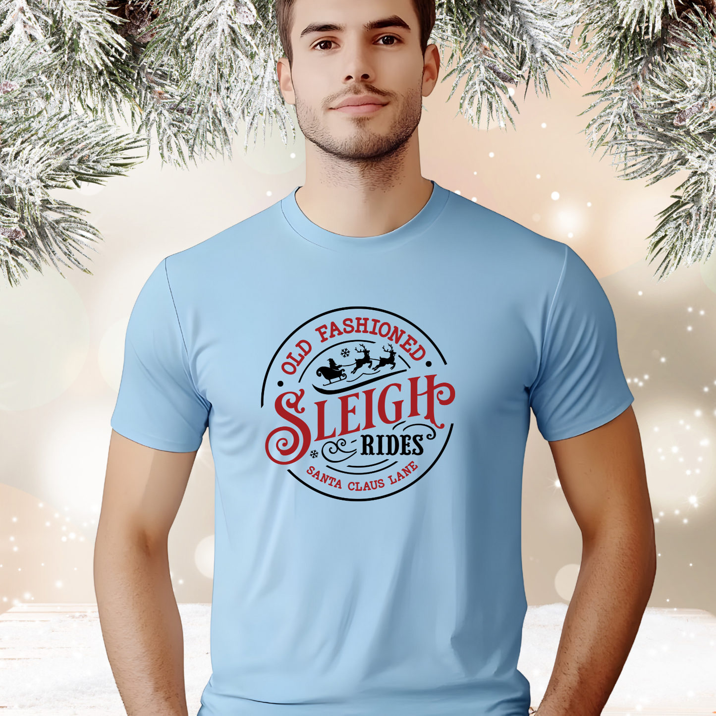 Old Fashioned Sleigh Rides T‑Shirt