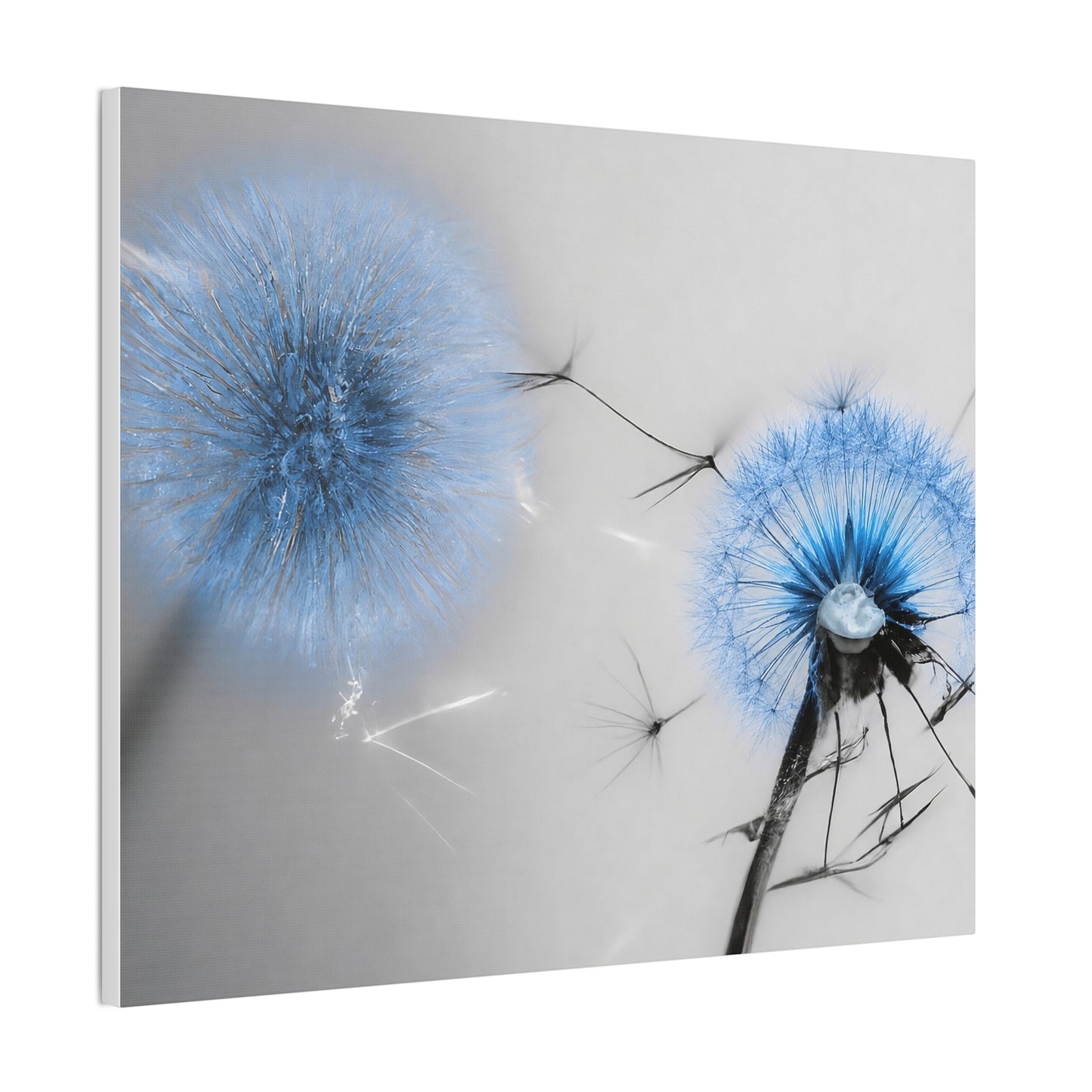 Where Wishes Bloom Canvas Wall Art