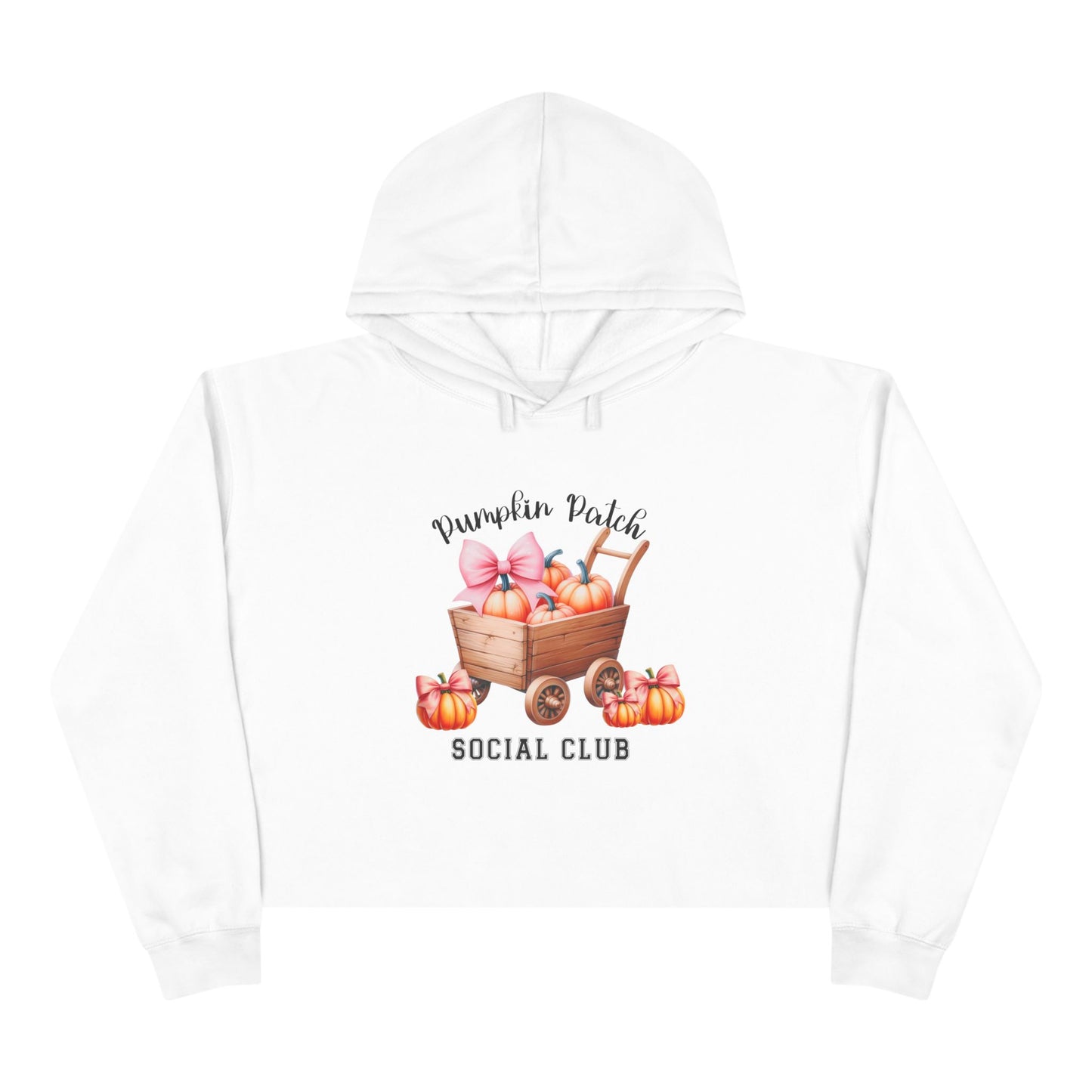 Pumpkin Patch Social Club Crop Hoodie
