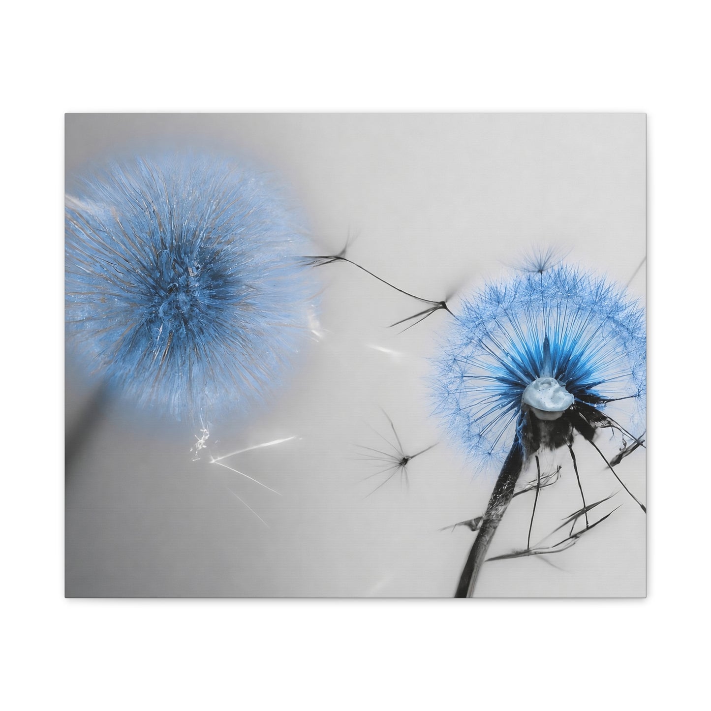 Where Wishes Bloom Canvas Wall Art