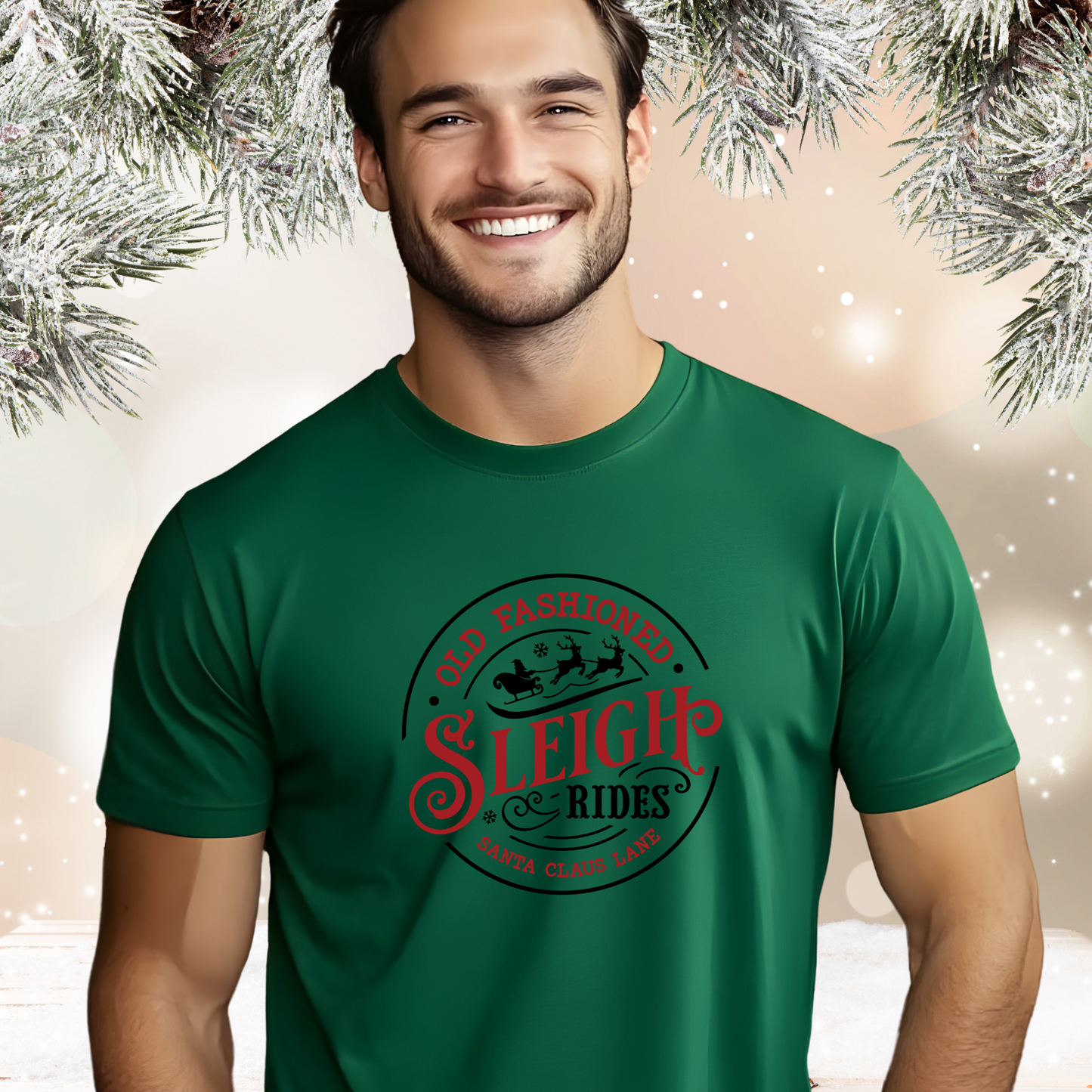 Old Fashioned Sleigh Rides T‑Shirt