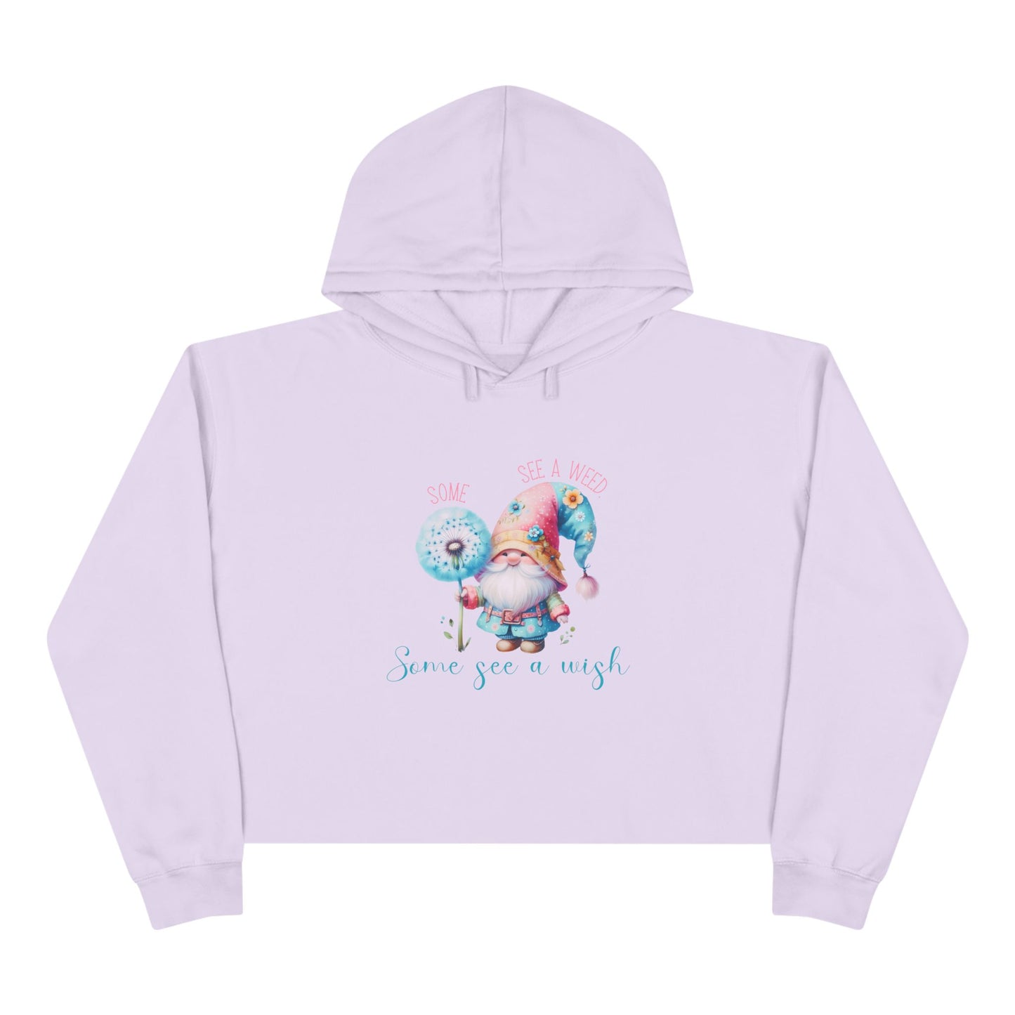 Some See A Wish Crop Hoodie
