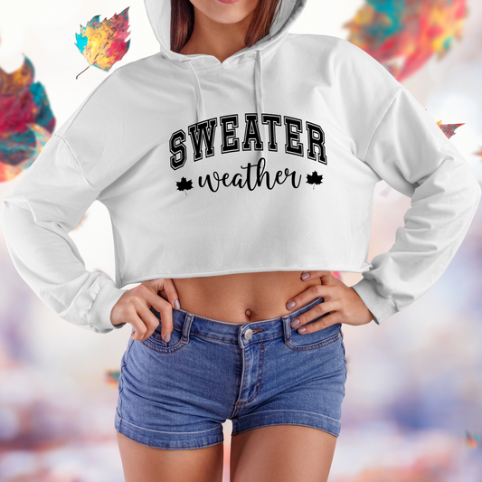 Sweater Weather Crop Hoodie