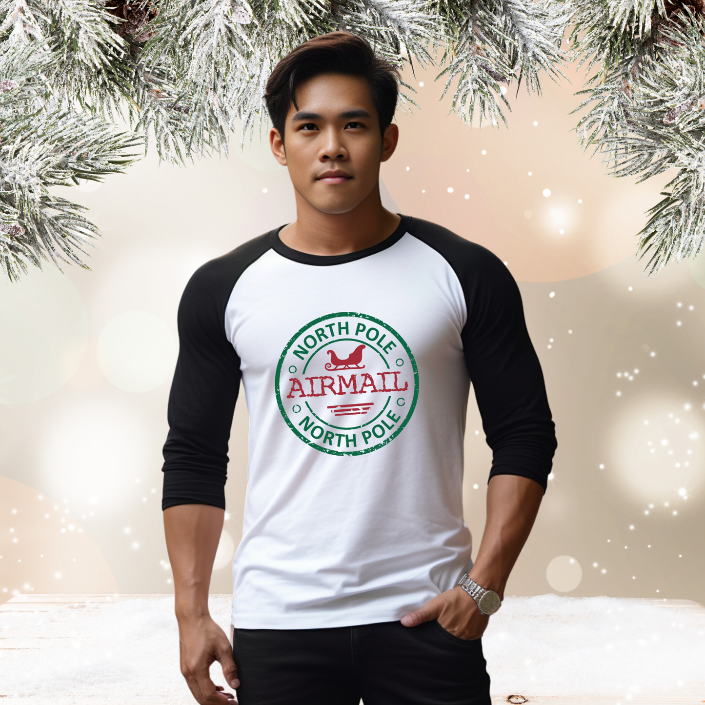 North Pole Airmail Baseball Tee