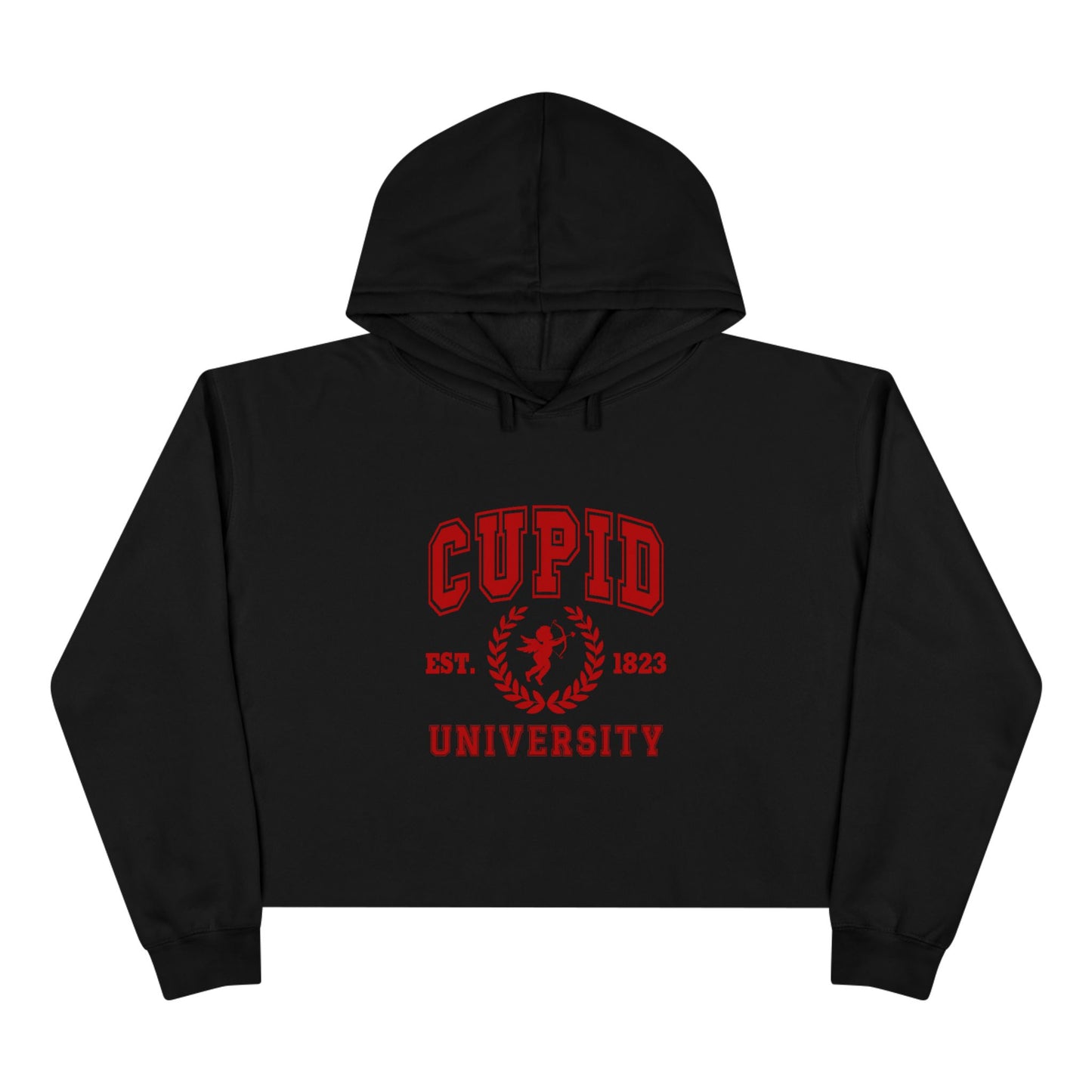 Cupid University Crop Hoodie