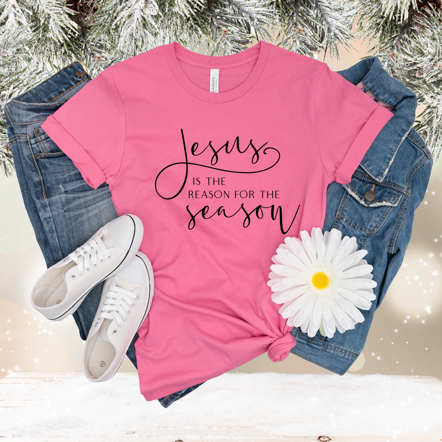 Jesus Is The Reason T-Shirt